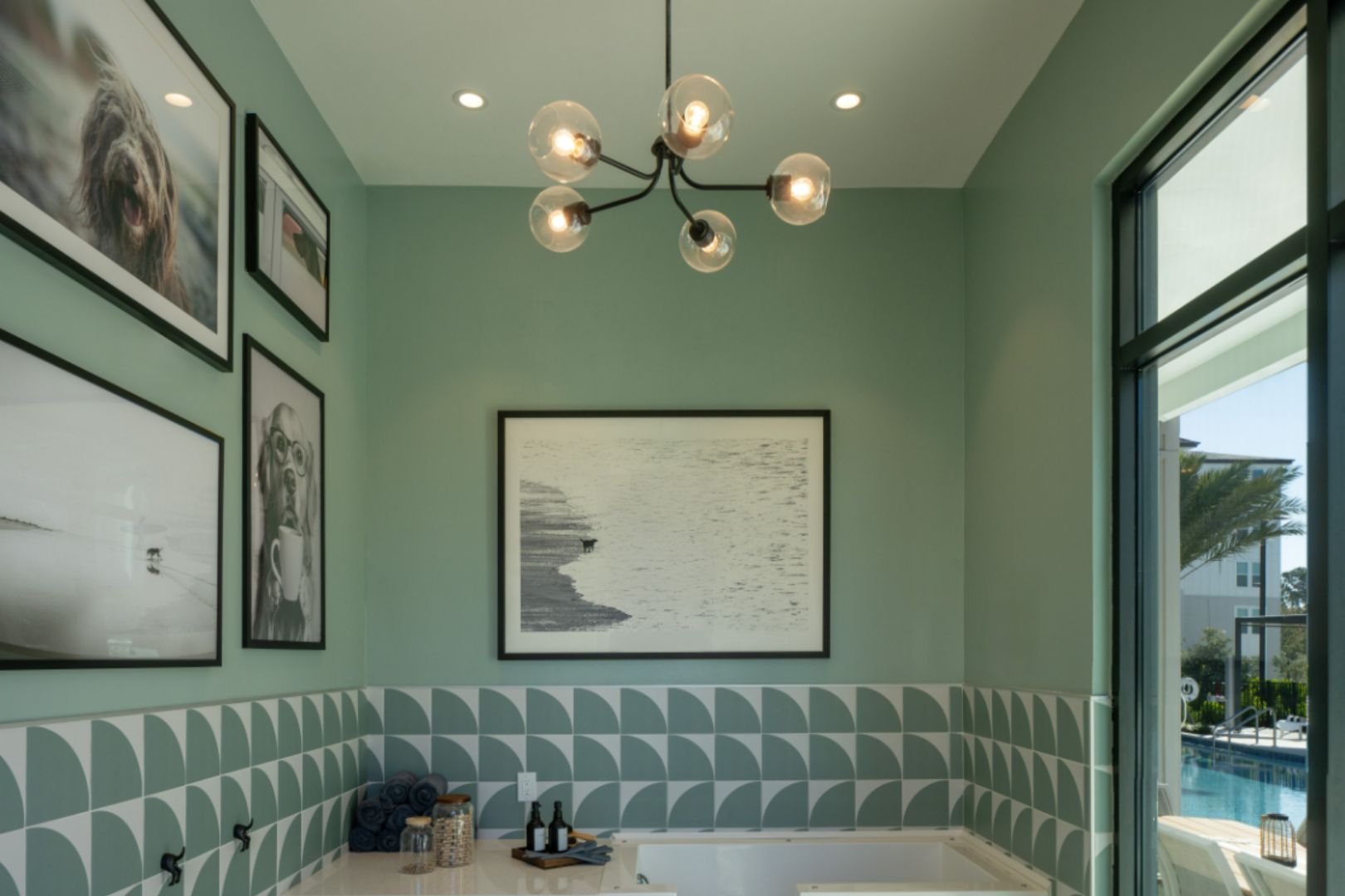 AltonOsprey_LuxuryApartments_PetSpa_OspreyFlorida